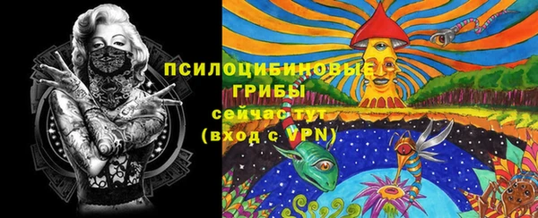 дурь Володарск