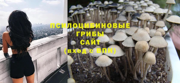 дурь Володарск